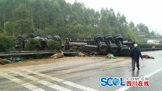 广安邻水县G65包茂高速公路达渝车祸交通事故 有人员伤亡